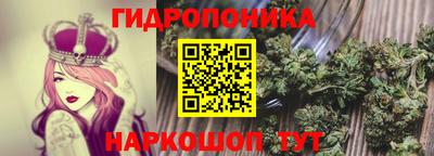мескалин Кингисепп