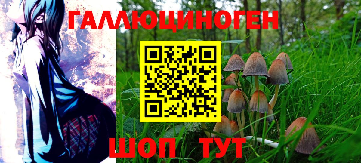 Галлюциногенные грибы ЛСД  Вход с VPN  Кудрово 