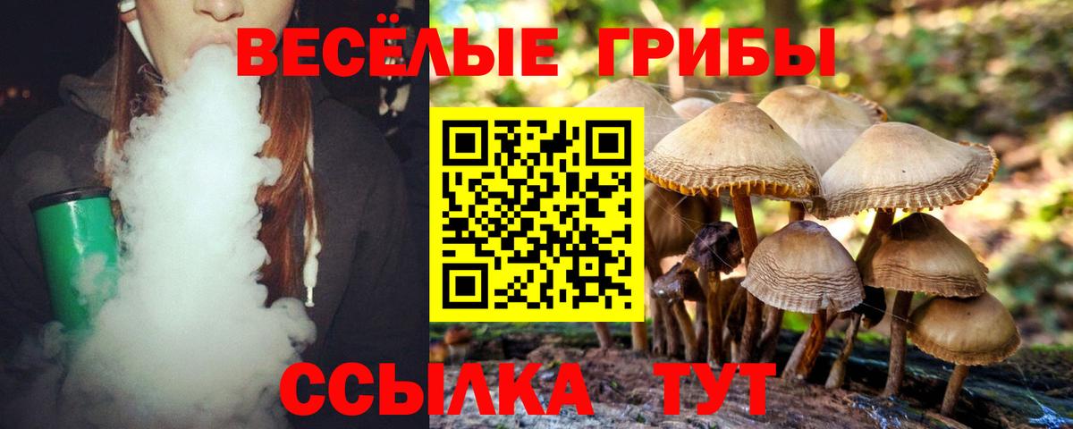 Псилоцибиновые грибы Magic Shrooms Кудрово